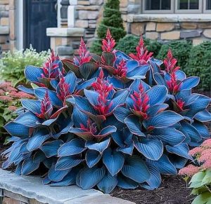 Хоста Грин Фог купить по цене от 669р. в интернет-магазине «Посадика» с доставкой почтой в в Московскийе и по всей России – [изображение №1].